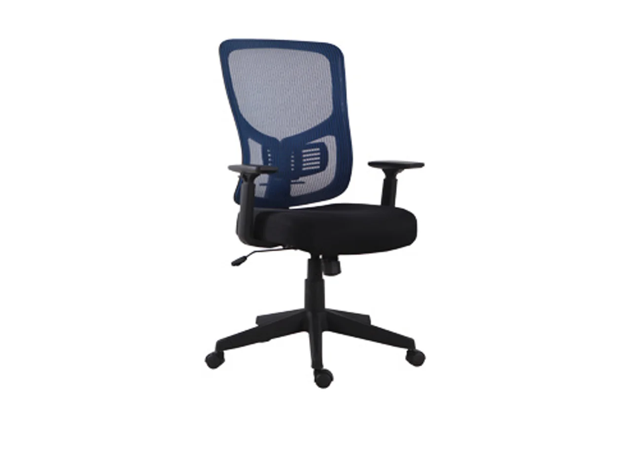 Botai mesh task chair on a five-star nylon base